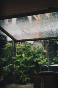 雨が降っている写真